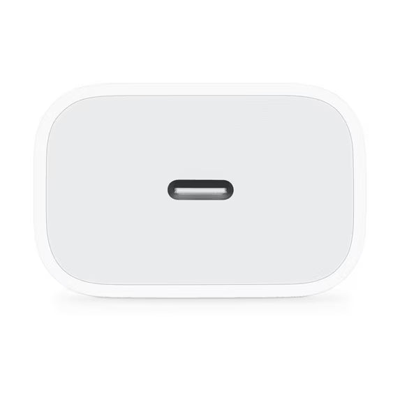 20W OEM Wall Adapter (USB-C Type) (Used)